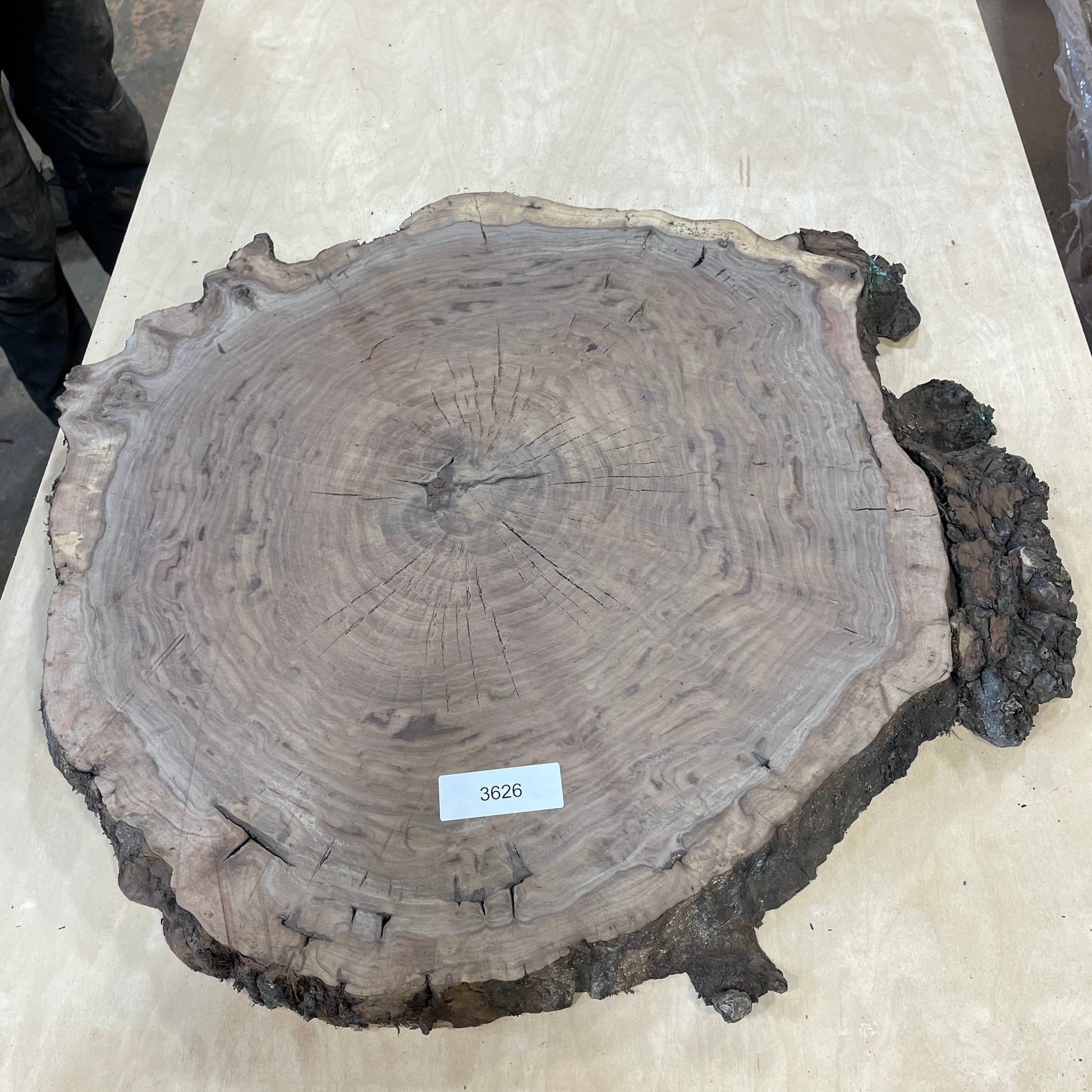 RARE Claro Walnut Burls - Kitchen & Dining image 7