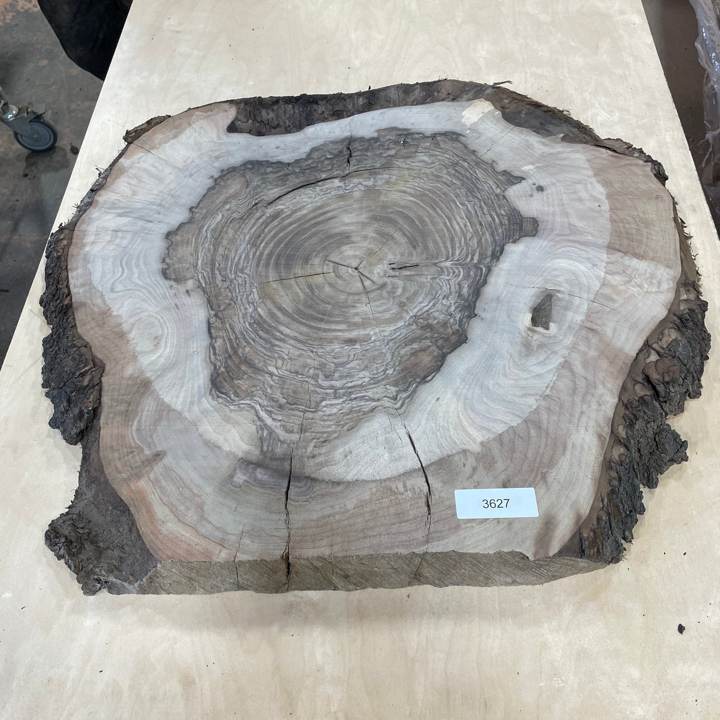 RARE Claro Walnut Burls - Kitchen & Dining image 8