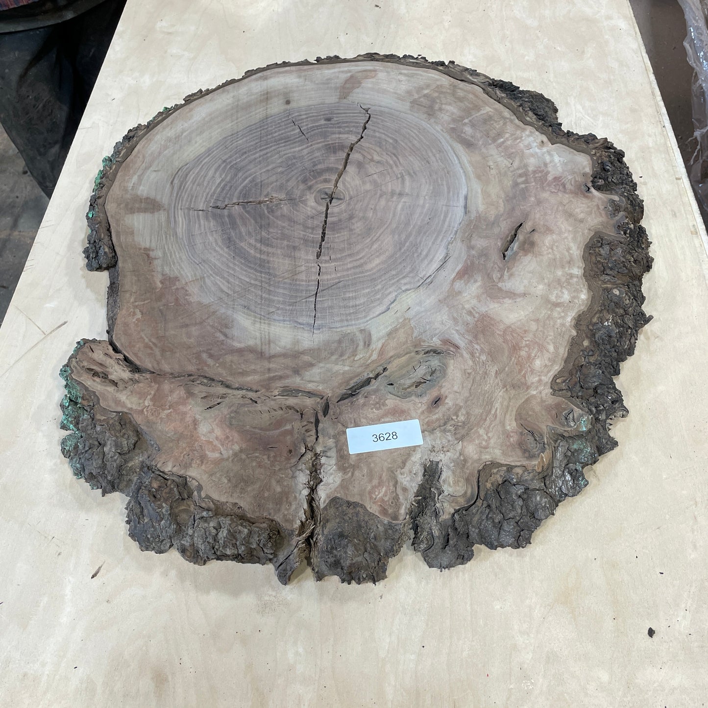 RARE Claro Walnut Burls - Kitchen & Dining image 9