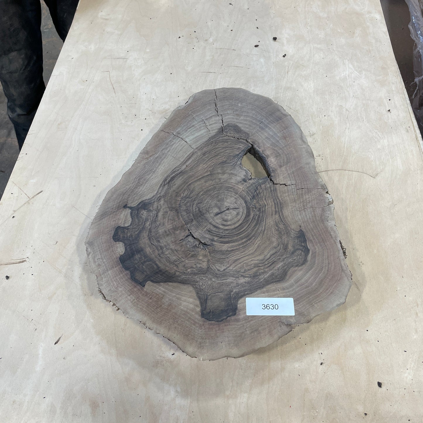 RARE Claro Walnut Burls - Kitchen & Dining image 11