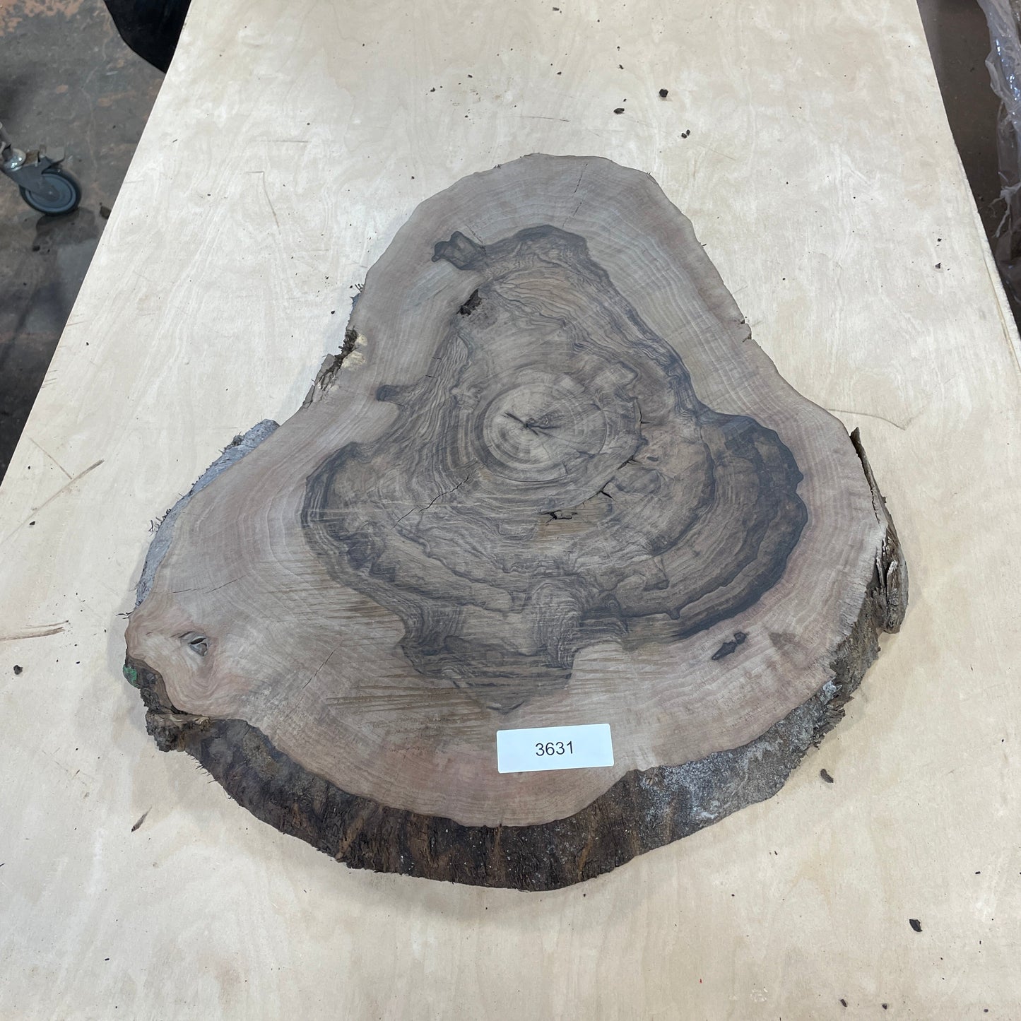 RARE Claro Walnut Burls - Kitchen & Dining image 12