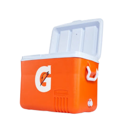 Regular Ice Chest - Furniture image 1