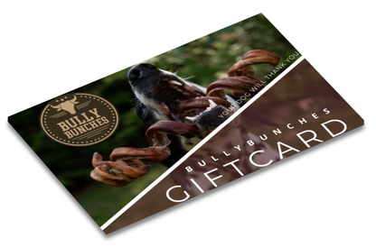 Gift Card ($200) - Misc image 2