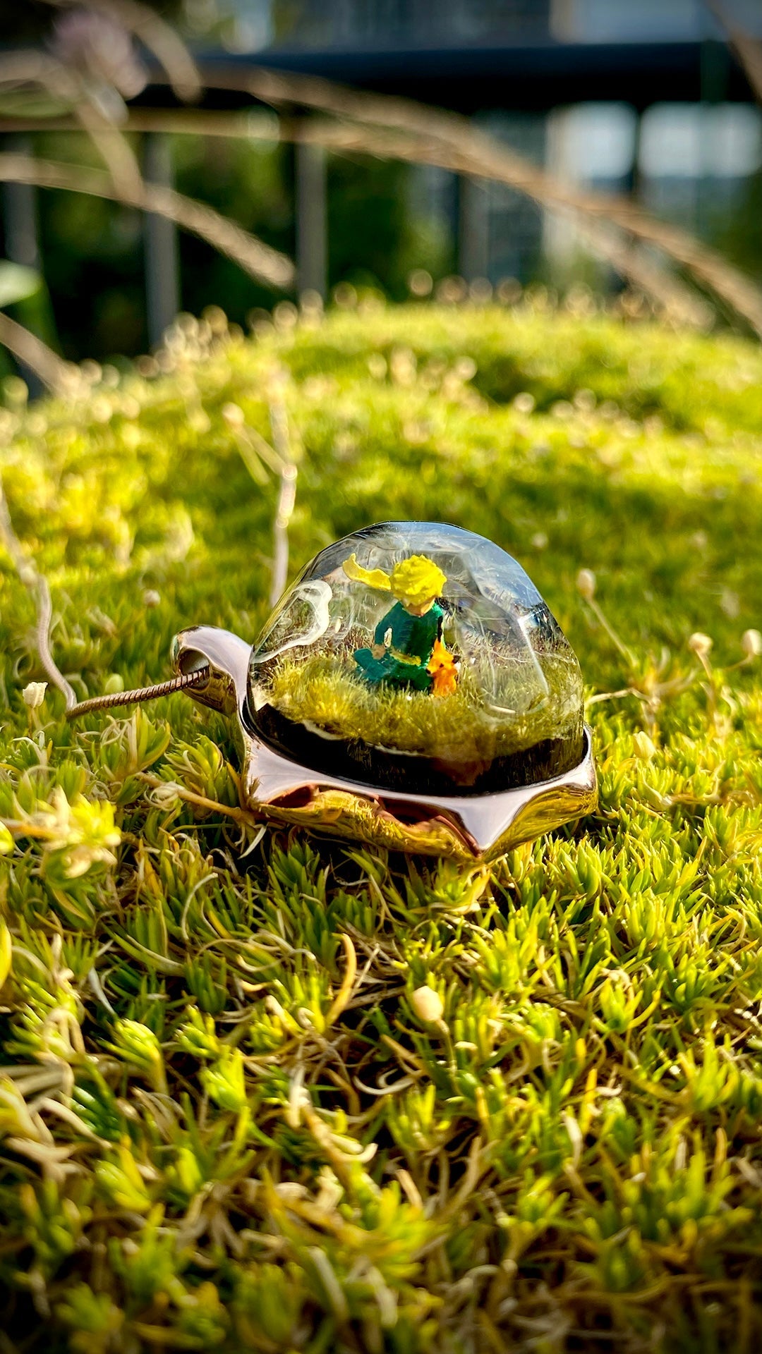 Little Prince - Misc image 2