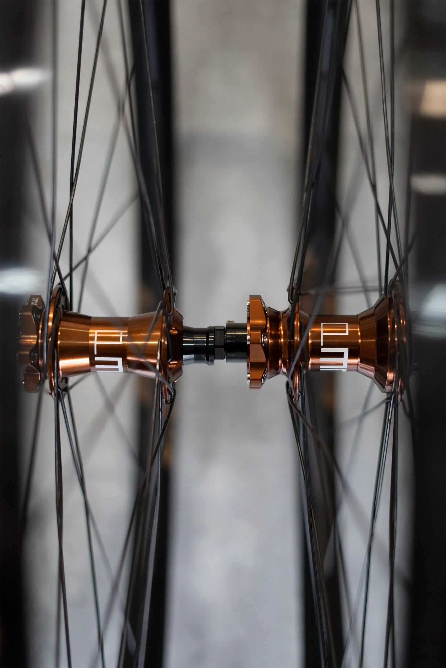 G3 Maple Boost Hubs + DT Swiss 541 29" Prebuilt Wheelset - Accessories image 3
