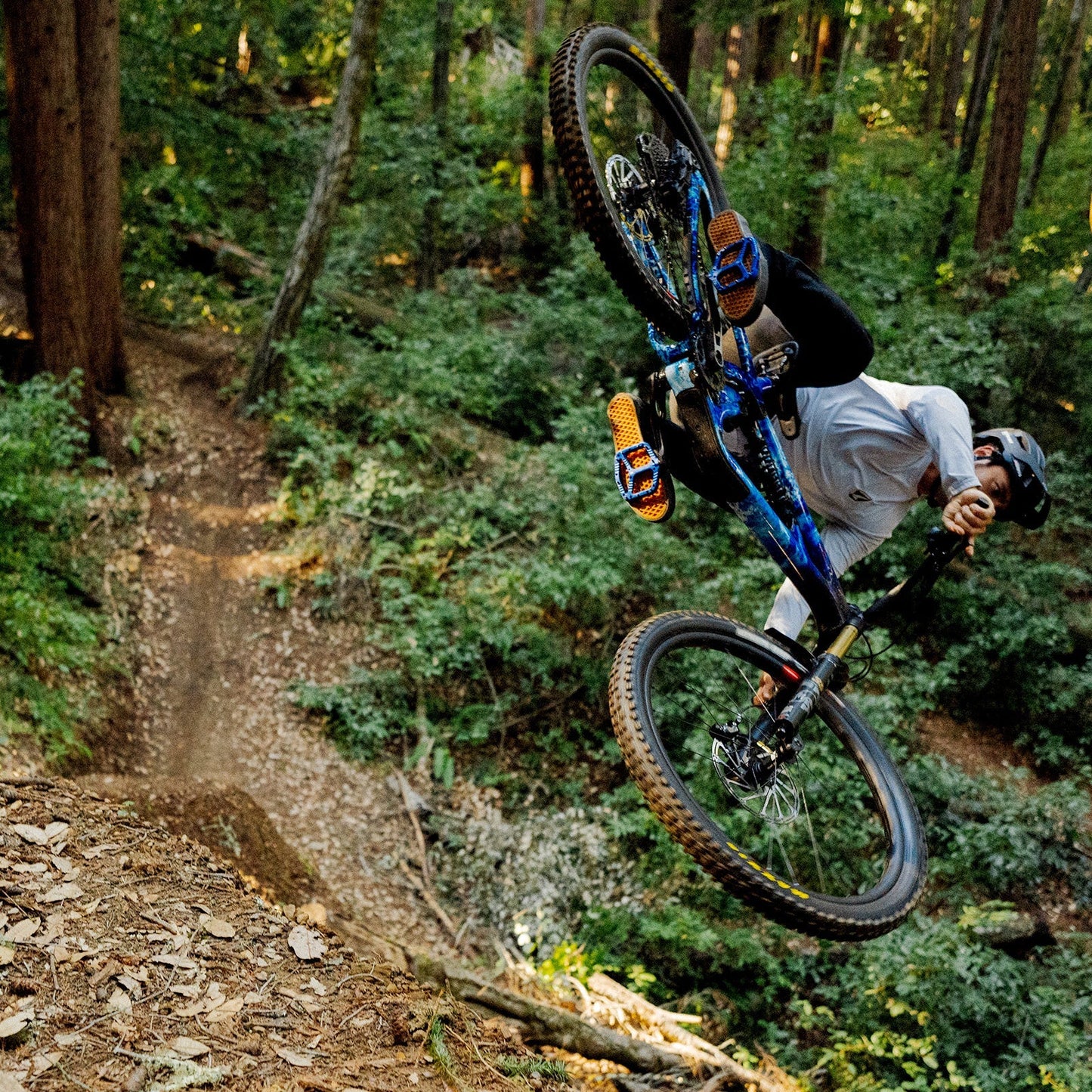 Wave Pedals - Misc image 5