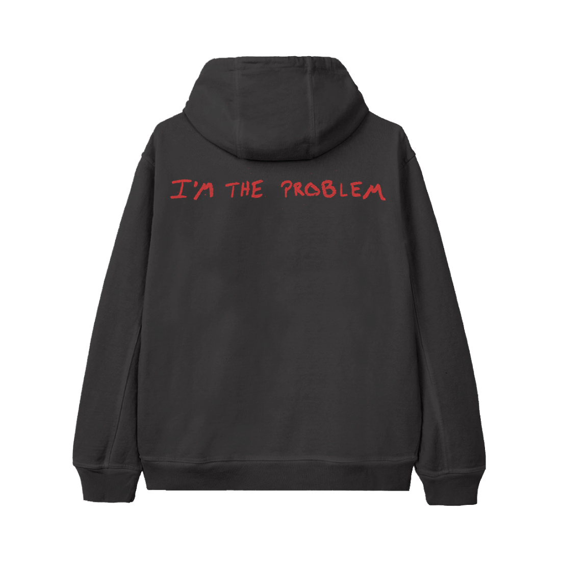 I’m The Problem Album Cover Hoodie - Misc image 2
