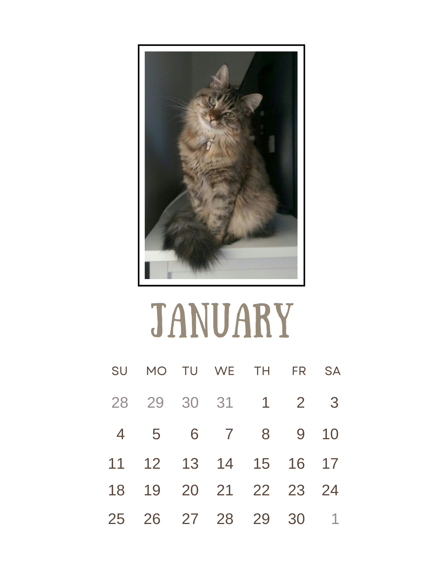 2026 Clipboard Calendar - Paws & Whiskers - Misc image 5