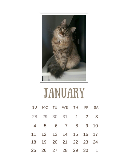 2026 Clipboard Calendar - Paws & Whiskers - Misc image 5