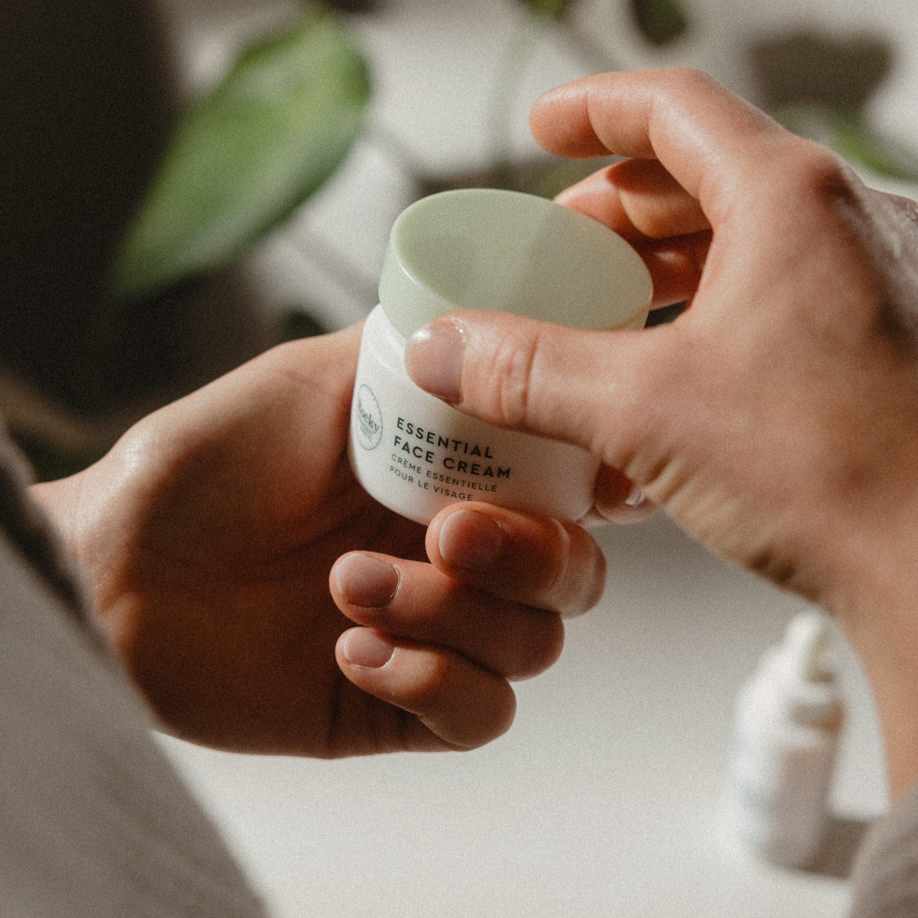 Essential Face Cream - Misc image 4