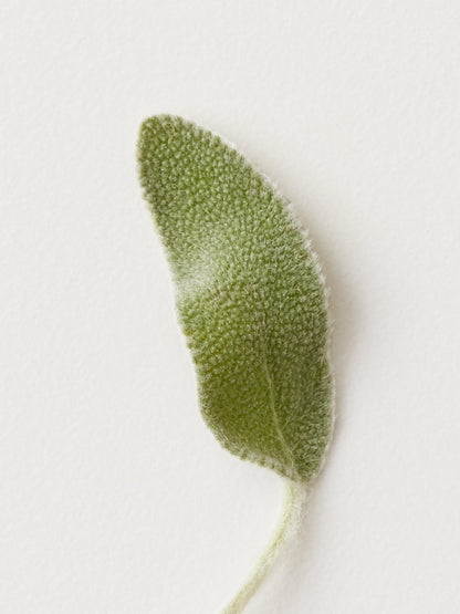 Pro Stylist Christine's Faves - Misc image 4