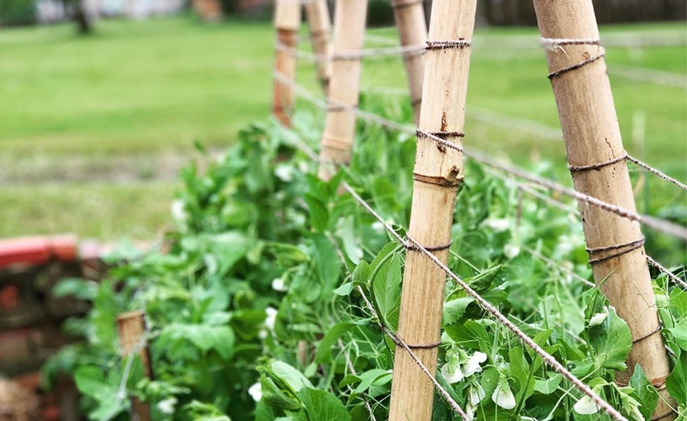 Custom Trellis Installation - Kitchen & Dining image 2