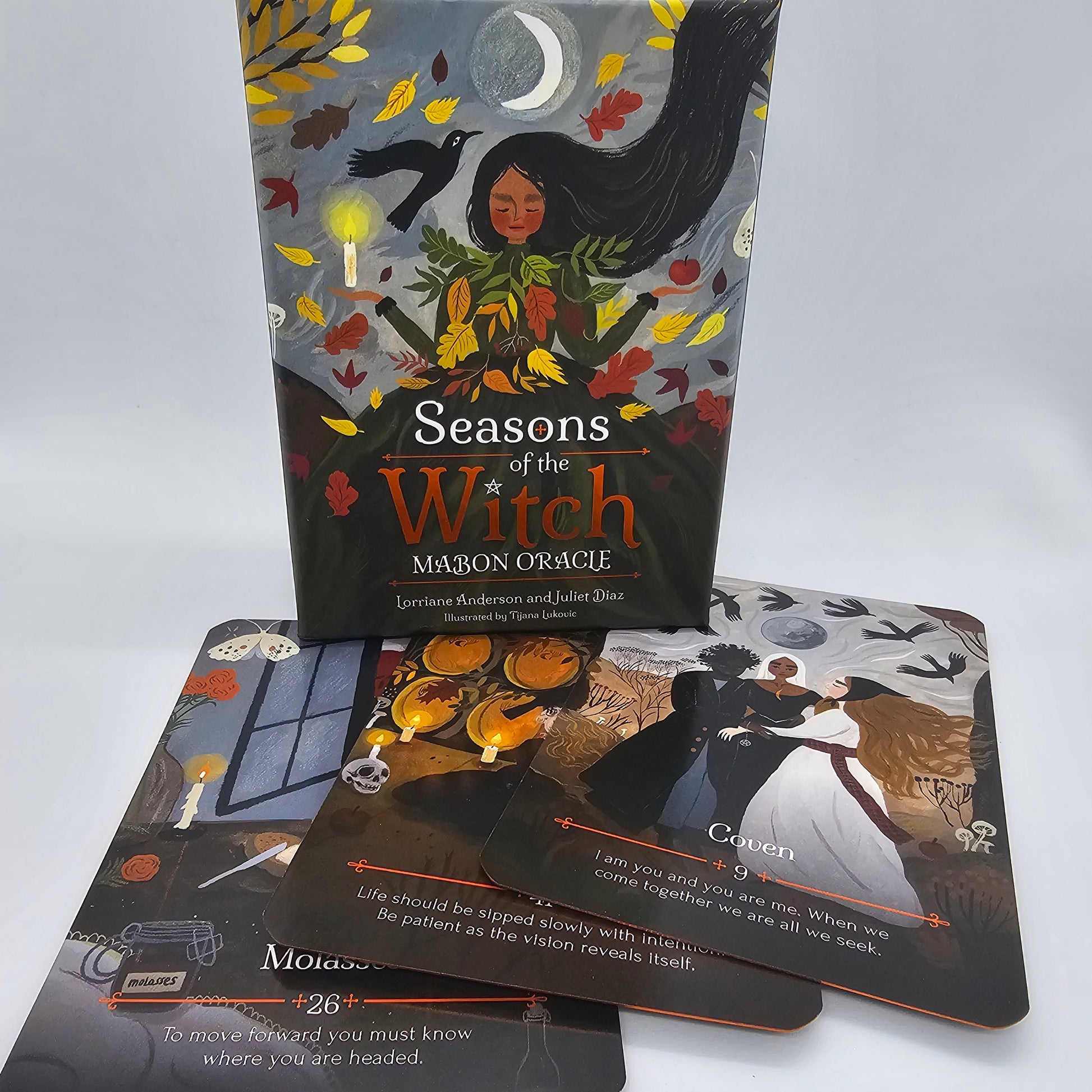 Channeled Message Readings - Accessories image 8