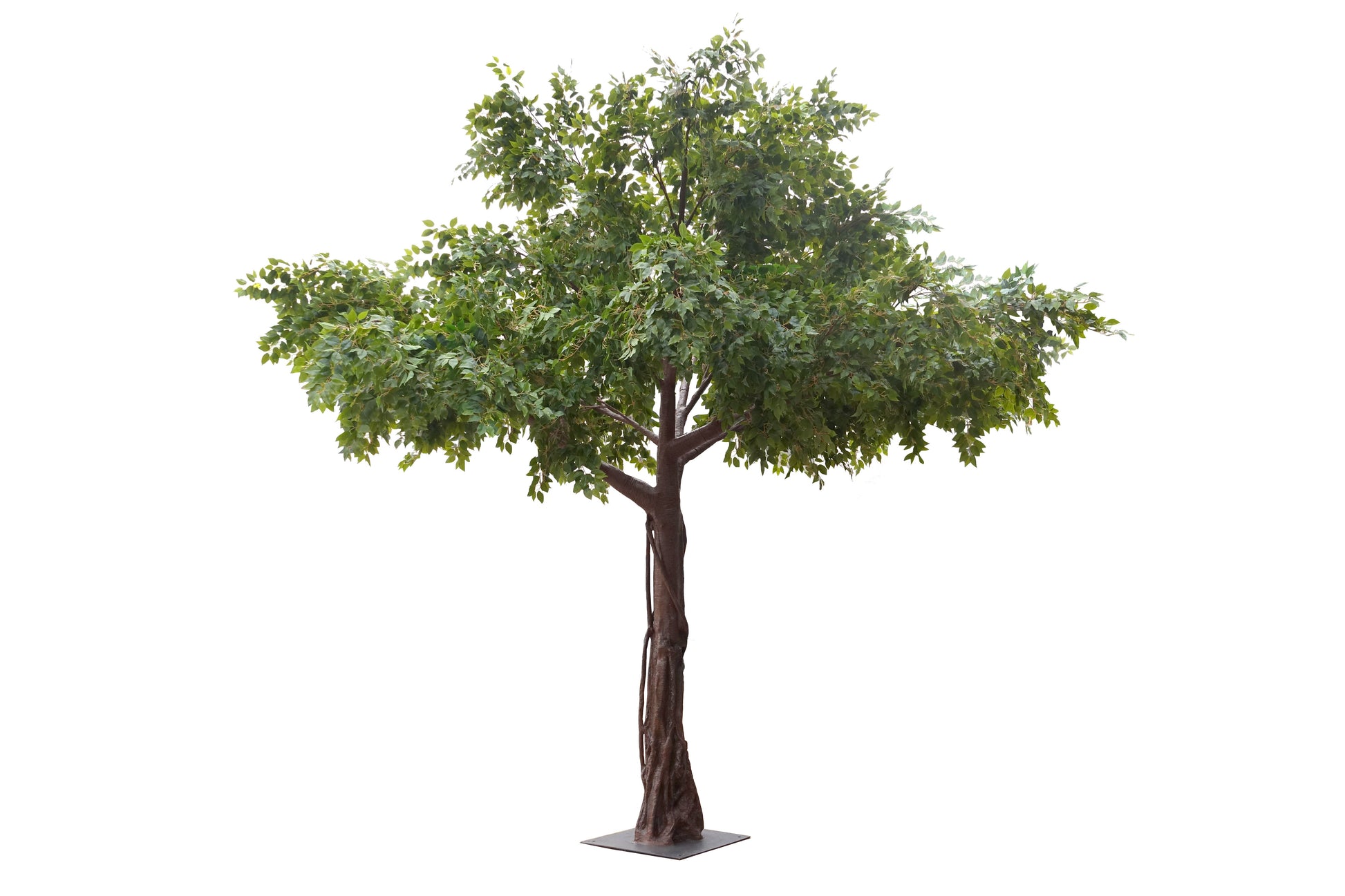 TR10619 GIANT BRAIDED TRUNKx72,14.5' - Misc image 1