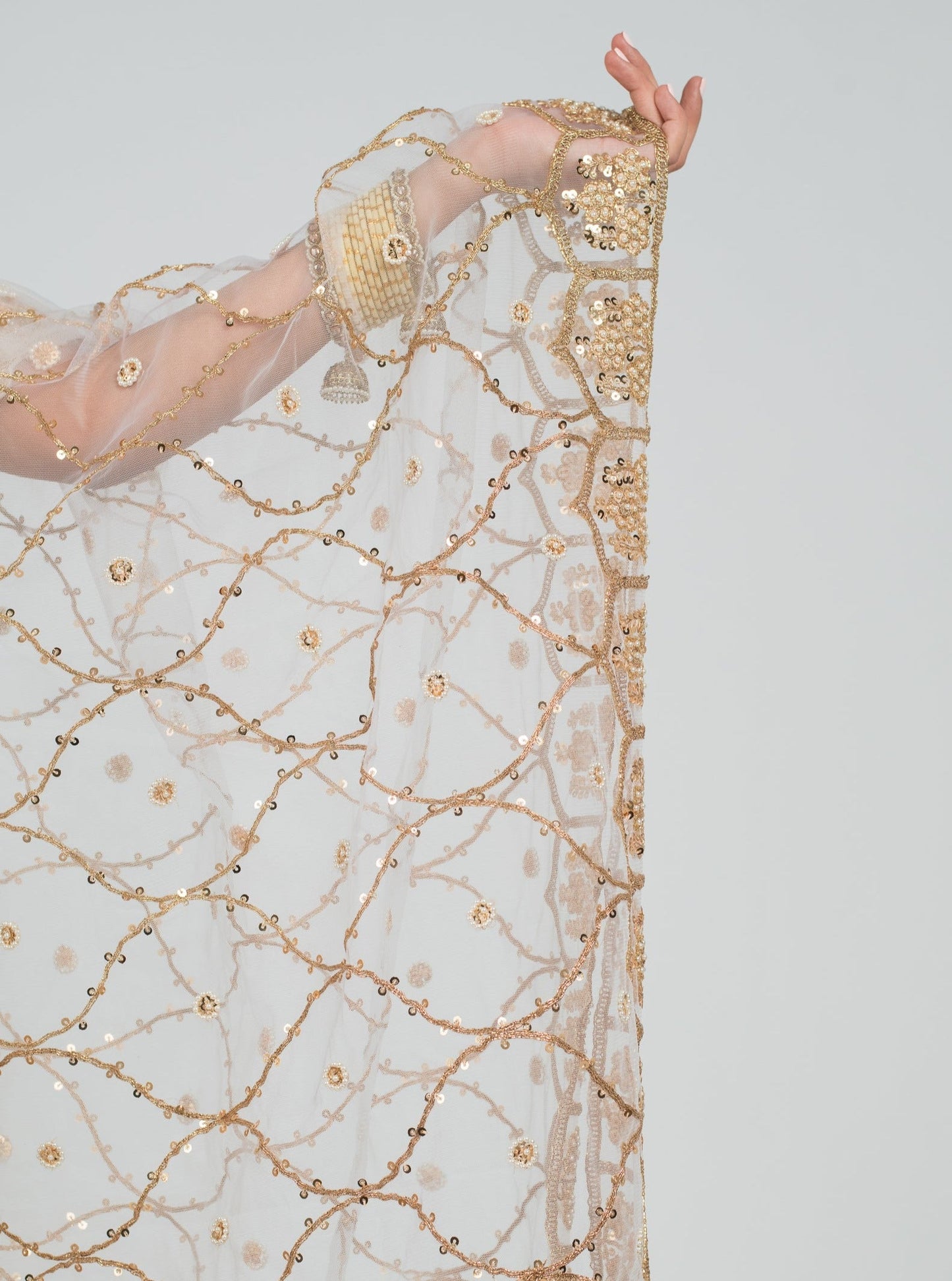 Champagne Renaissance Dupatta - Misc image 4