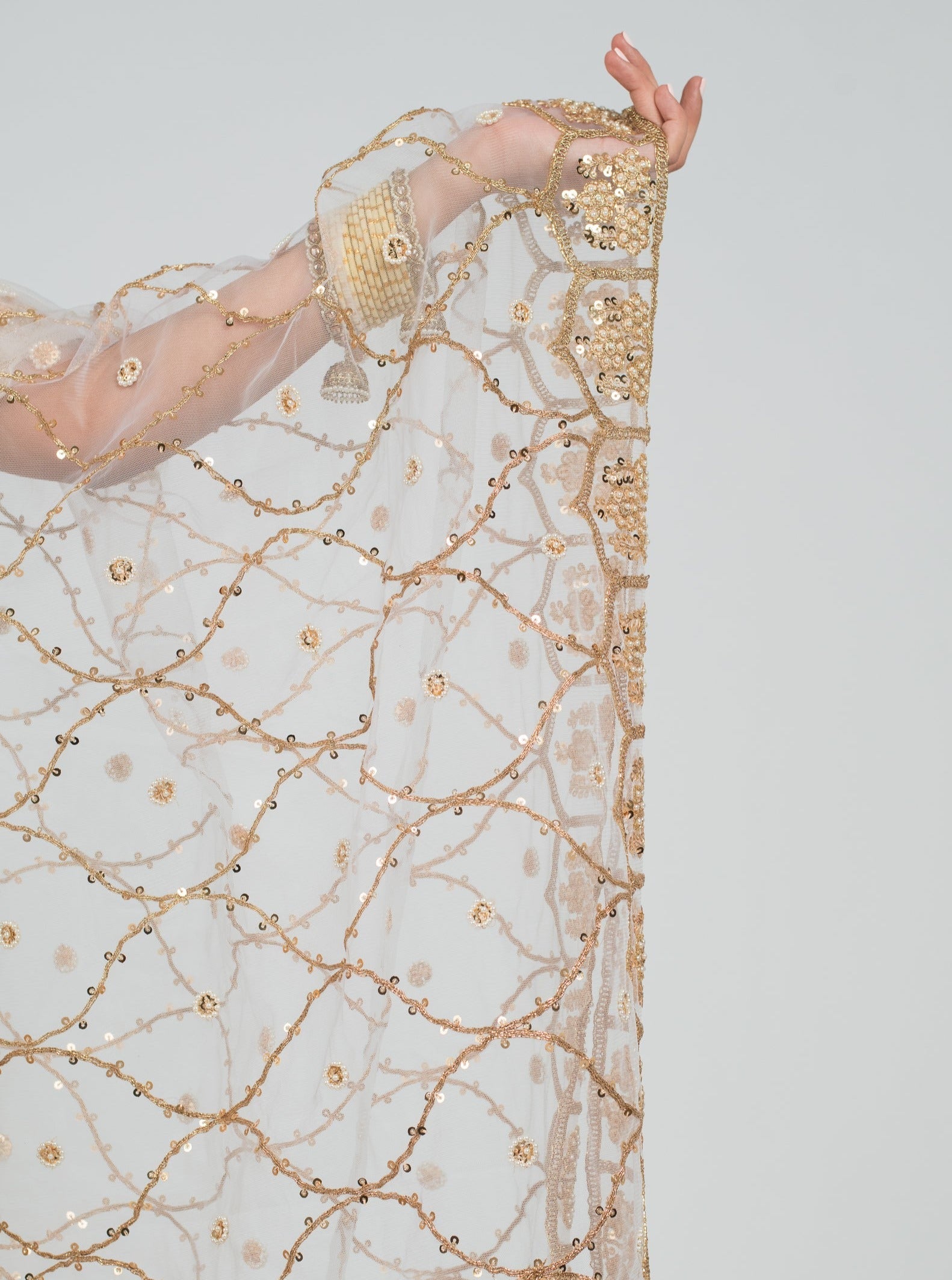 Champagne Renaissance Dupatta - Misc image 4