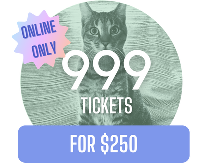 999 for $250 - Misc image 3