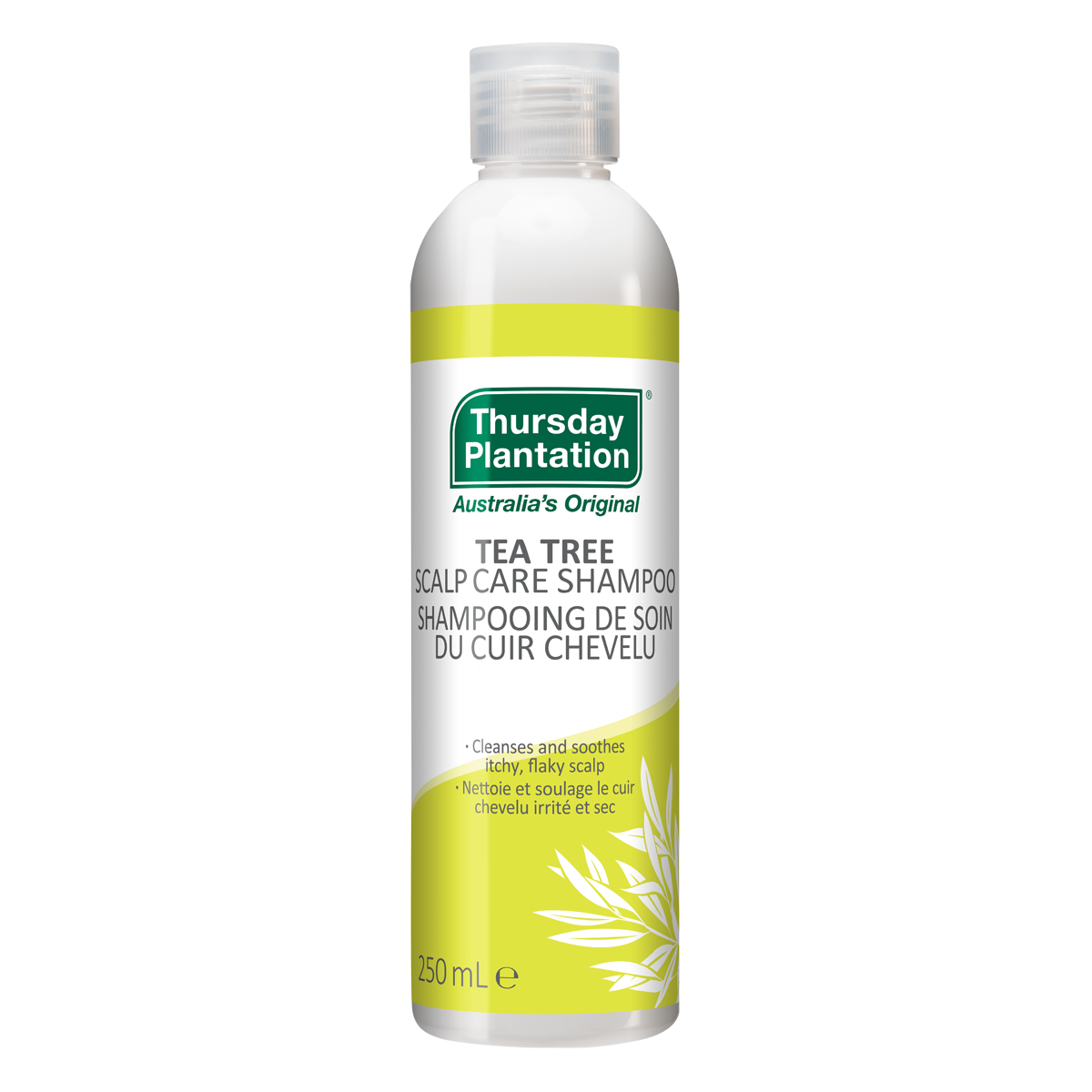 Tea Tree Scalp Care Shampoo 4 x 250mL Pack - Beauty image 2