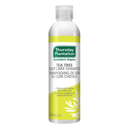 Tea Tree Scalp Care Shampoo 4 x 250mL Pack - Beauty image 2