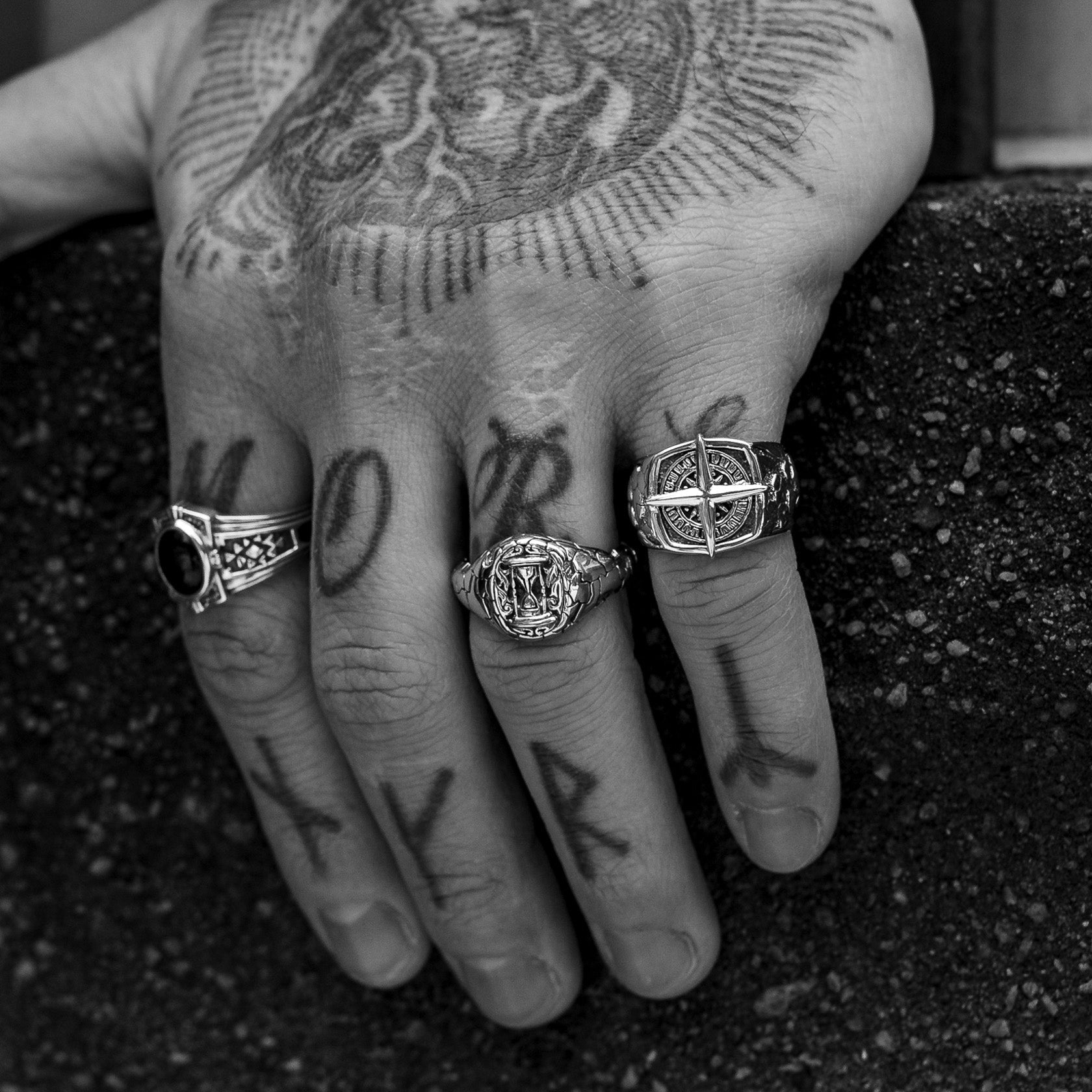 Tortuga - Misc image 4