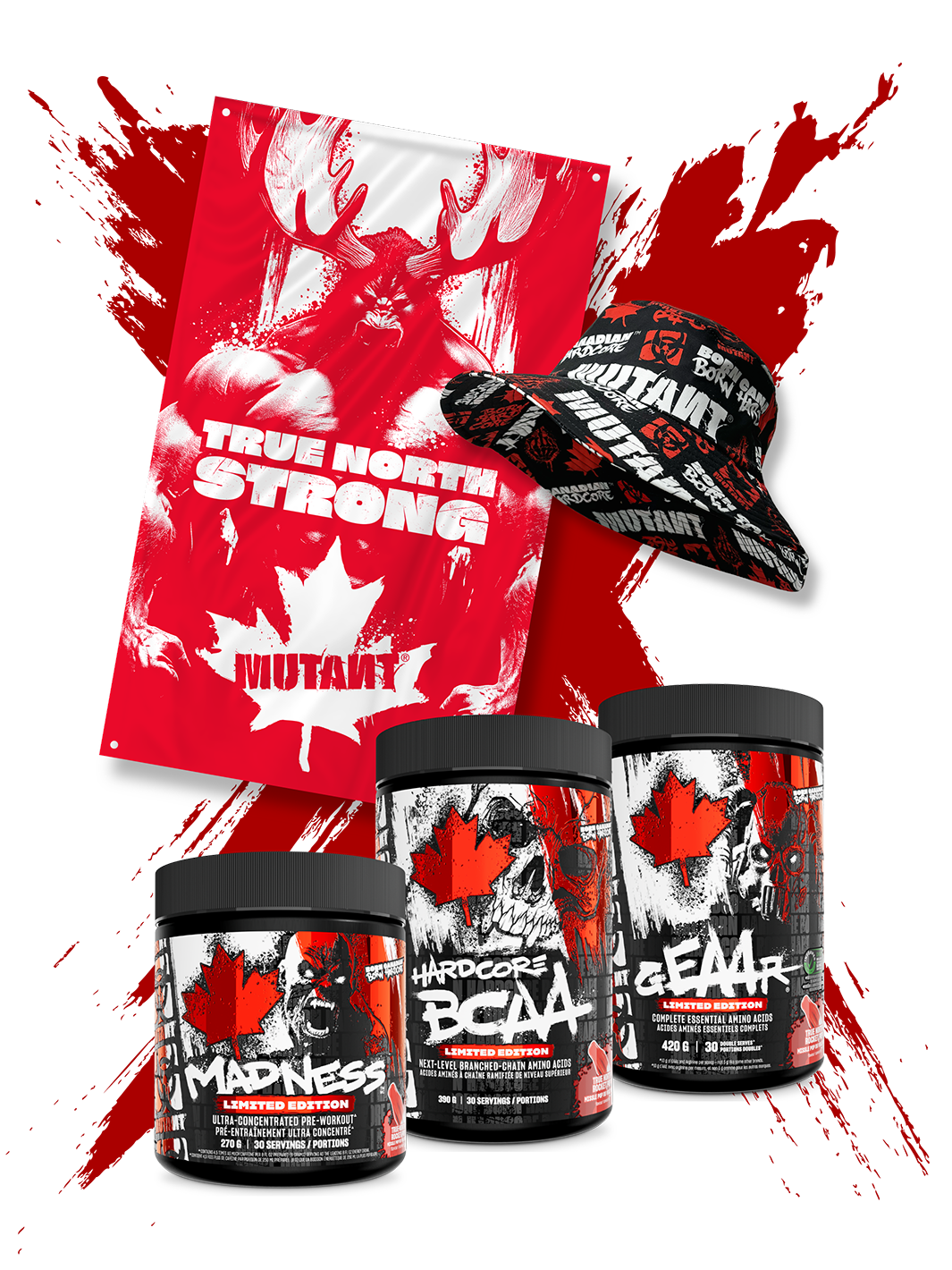 True North Bundle - Misc image 1