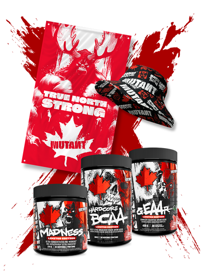 True North Bundle - Misc image 1