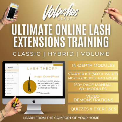 Online Lash Extension Training Course & Kit - Home Decor image 1