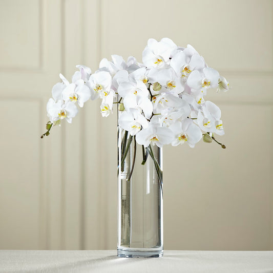 White Phalaenopsis Bouquet - Misc image 1