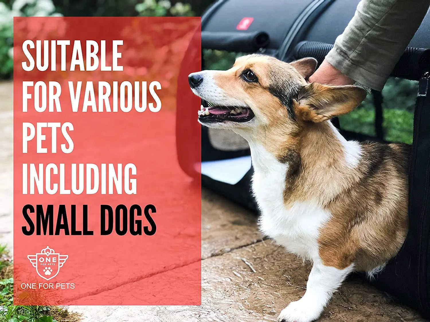 One for Pets Portable Double Kennel - New Single Kennel Version Available! - Kitchen & Dining image 4