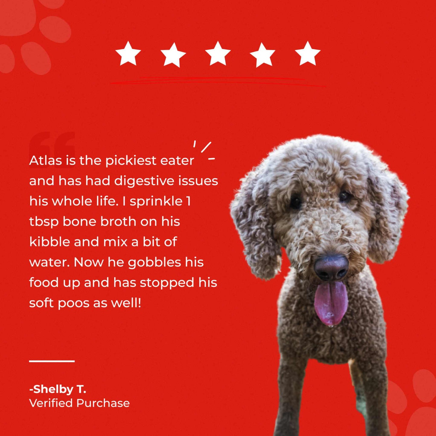 Bone Broth For Dogs & Cats - Misc image 16