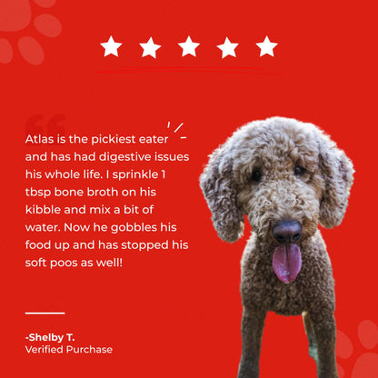 Bone Broth For Dogs & Cats - Misc image 16