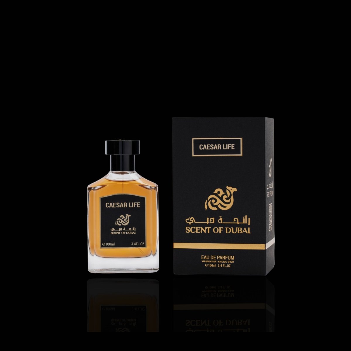 Caesar Life - Accessories image 2