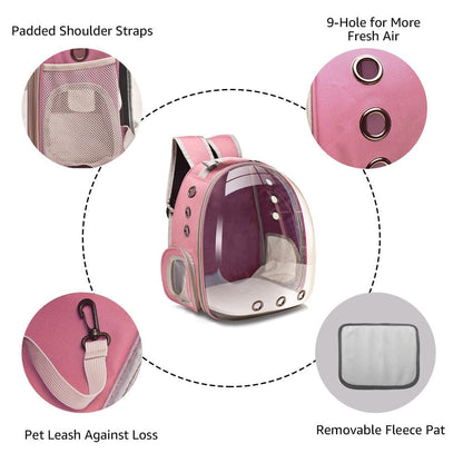 Cat Carrier - Accessories image 13