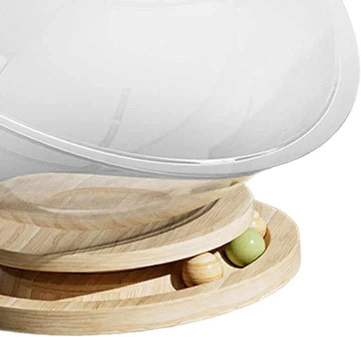 Cat Space Capsule Bed - Home Decor image 8