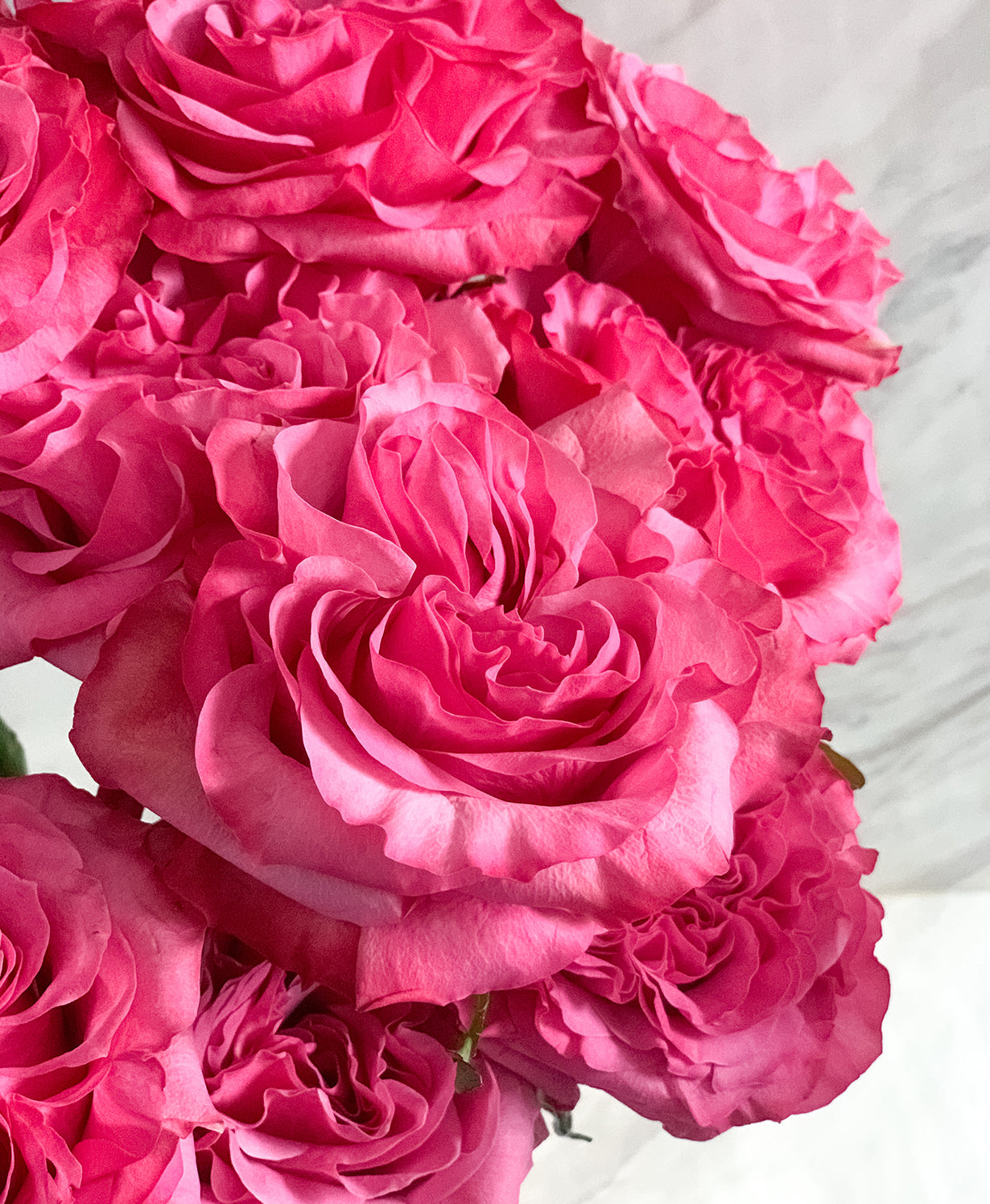 Country Blues Roses (15 stems) - Misc image 2