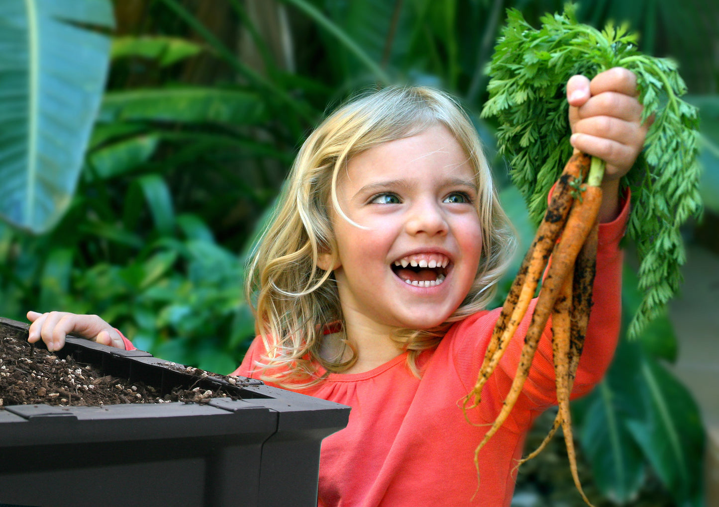 Large Raised Garden Bed with Garden Cover - Misc image 7
