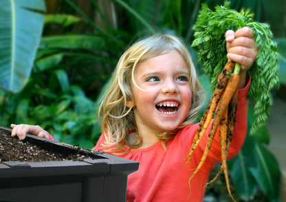 Large Raised Garden Bed with Garden Cover - Misc image 7