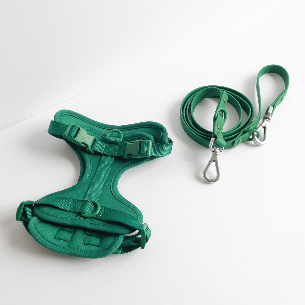 Green Harness and Leash Set - Furniture image 1