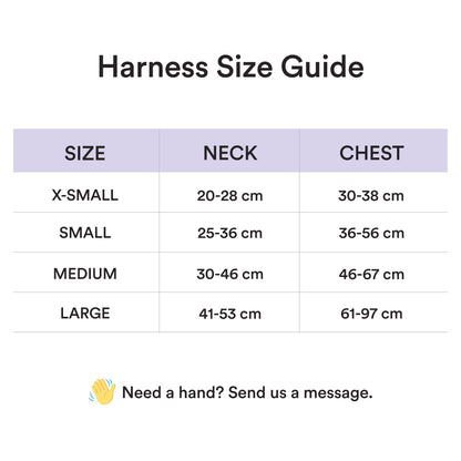 Lilac Harness and Leash Set - Furniture image 9