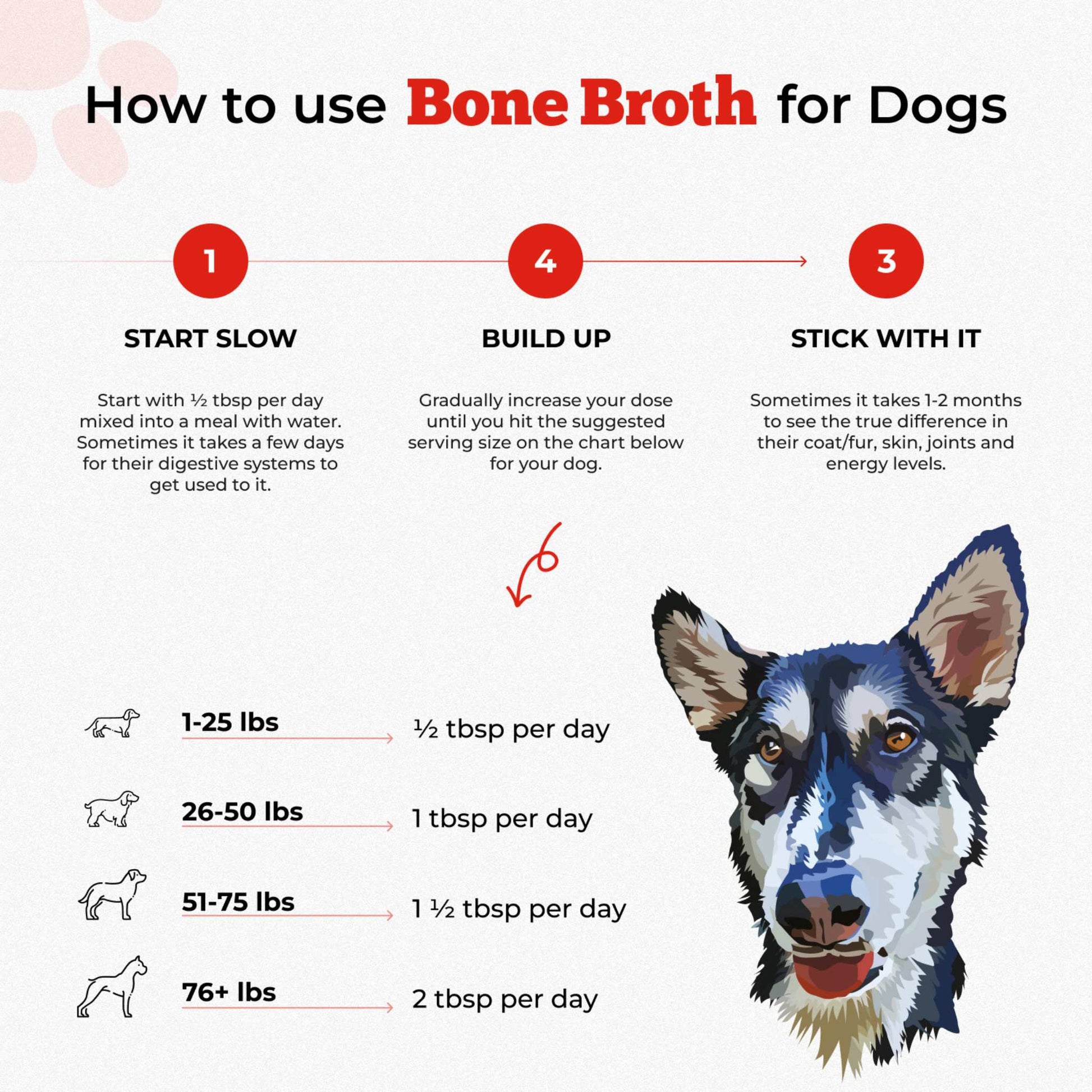 Bone Broth For Dogs & Cats - Misc image 18