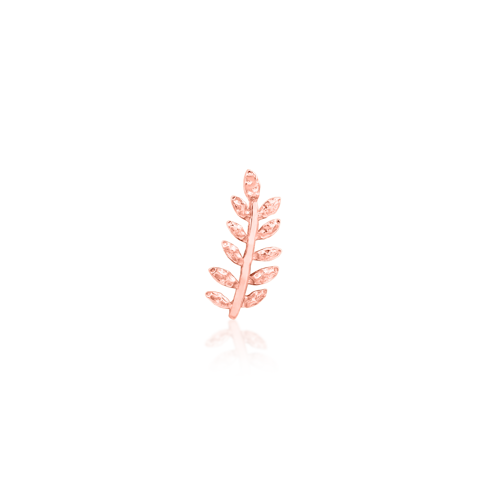 Willow - Misc image 12
