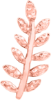 Willow - Misc image 17