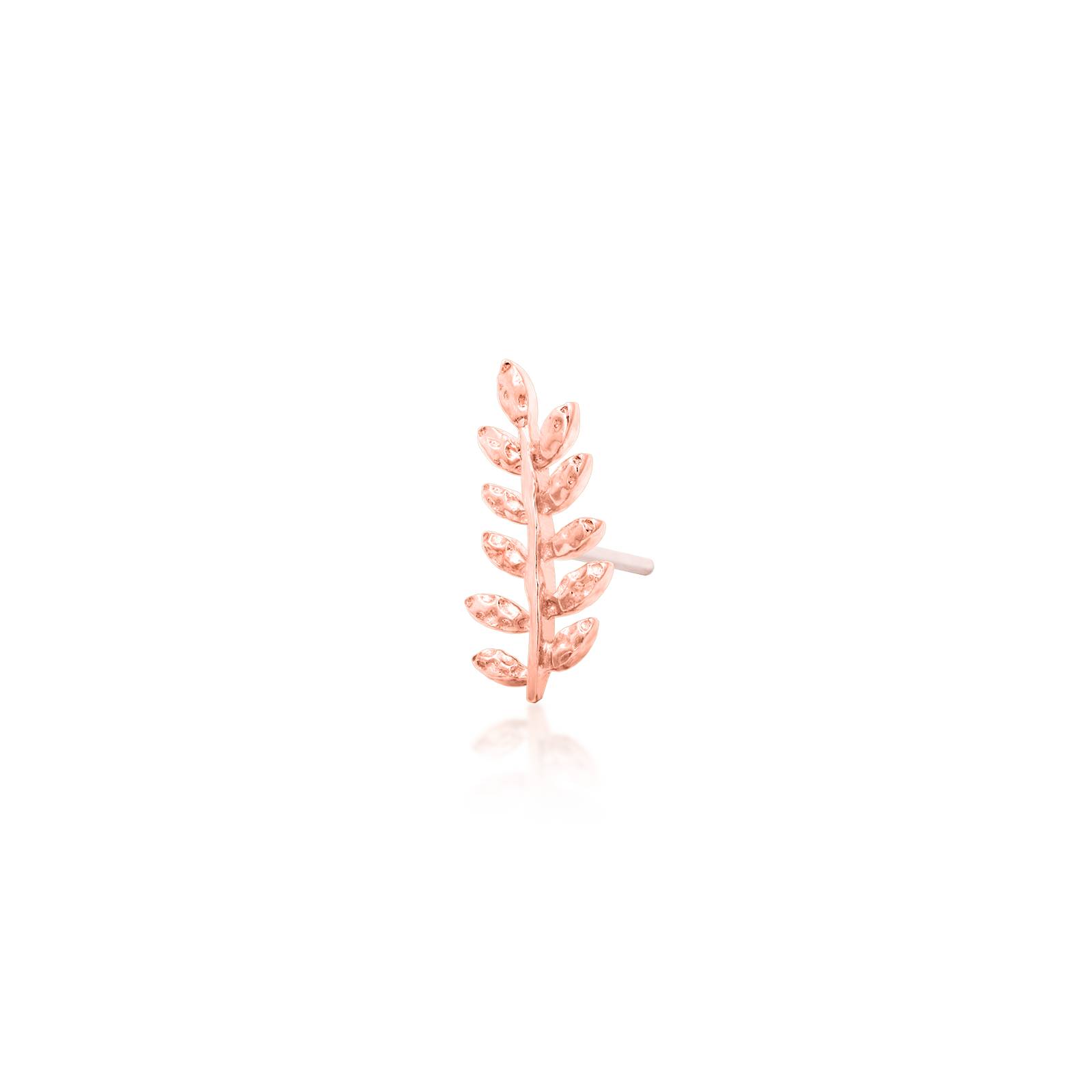 Willow - Misc image 13