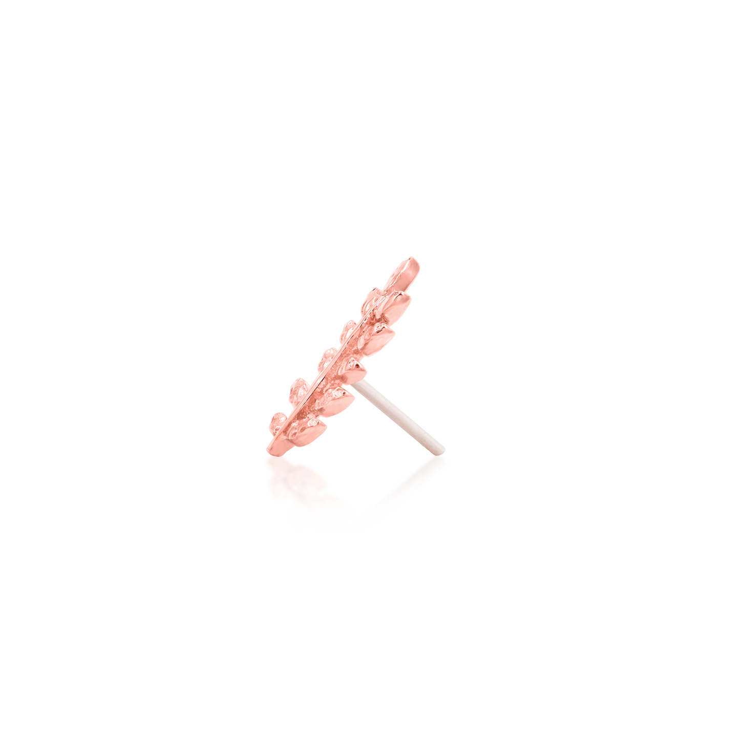 Willow - Misc image 14