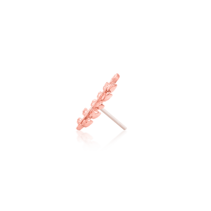 Willow - Misc image 14