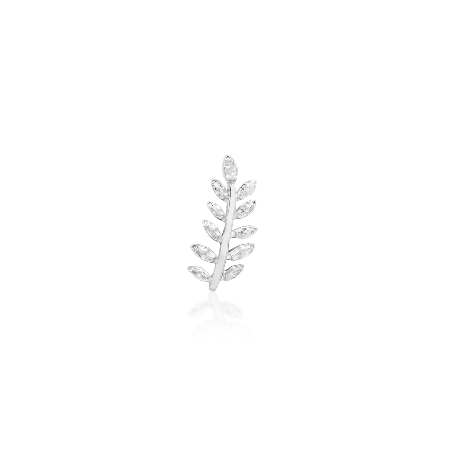 Willow - Misc image 9