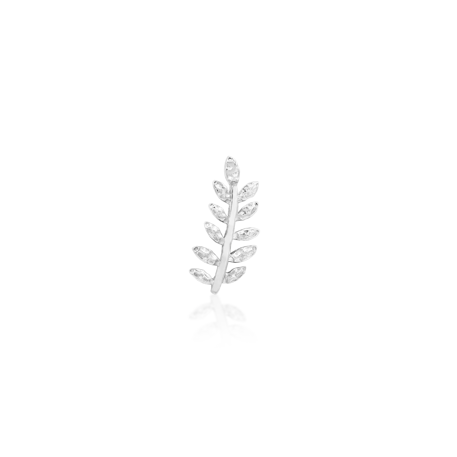 Willow - Misc image 9