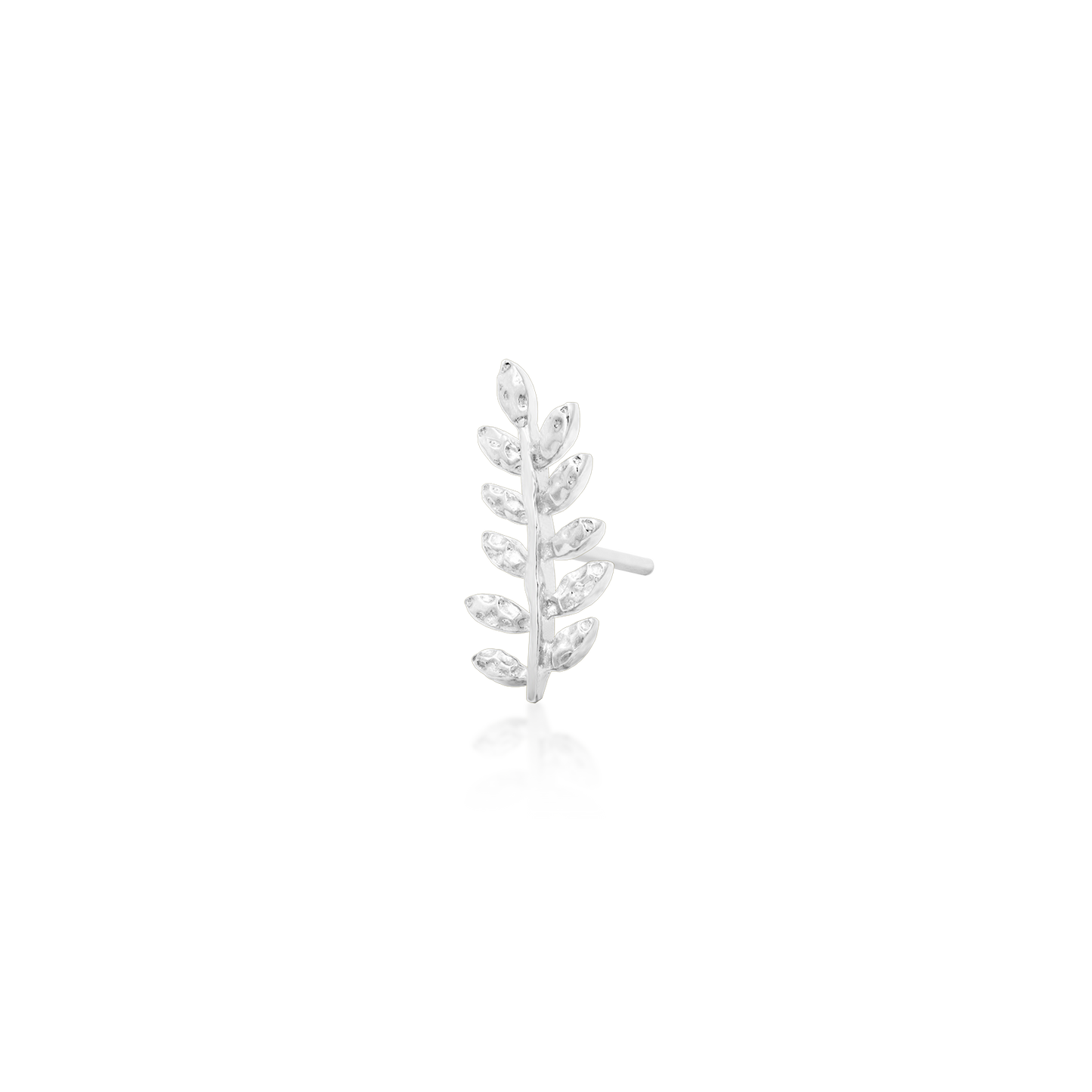 Willow - Misc image 10