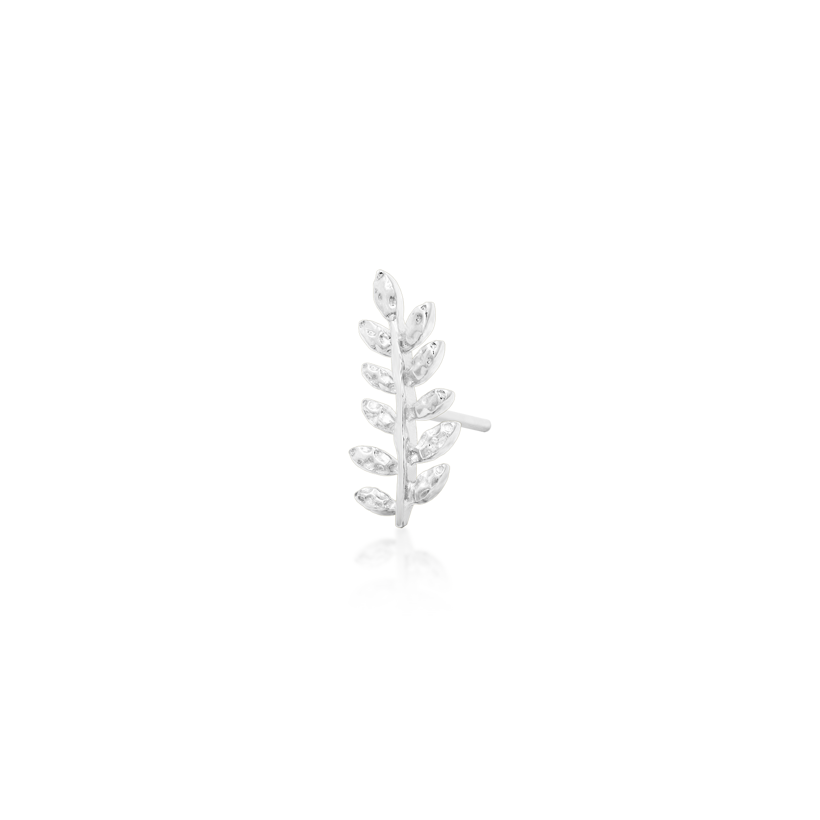 Willow - Misc image 10