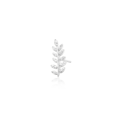 Willow - Misc image 10